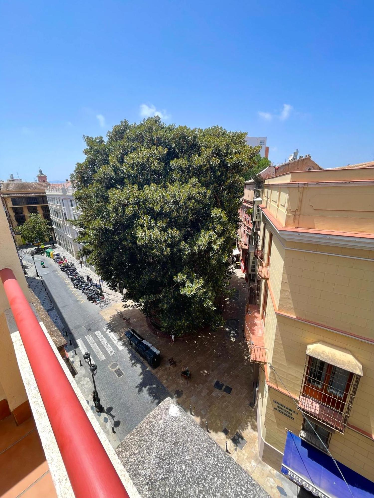 Buenaventura Appartement *